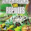 Amphibiana And Reptiles
