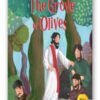 Grove of Olives