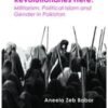 We are All Revolutionaries Here