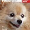 Pomeranians